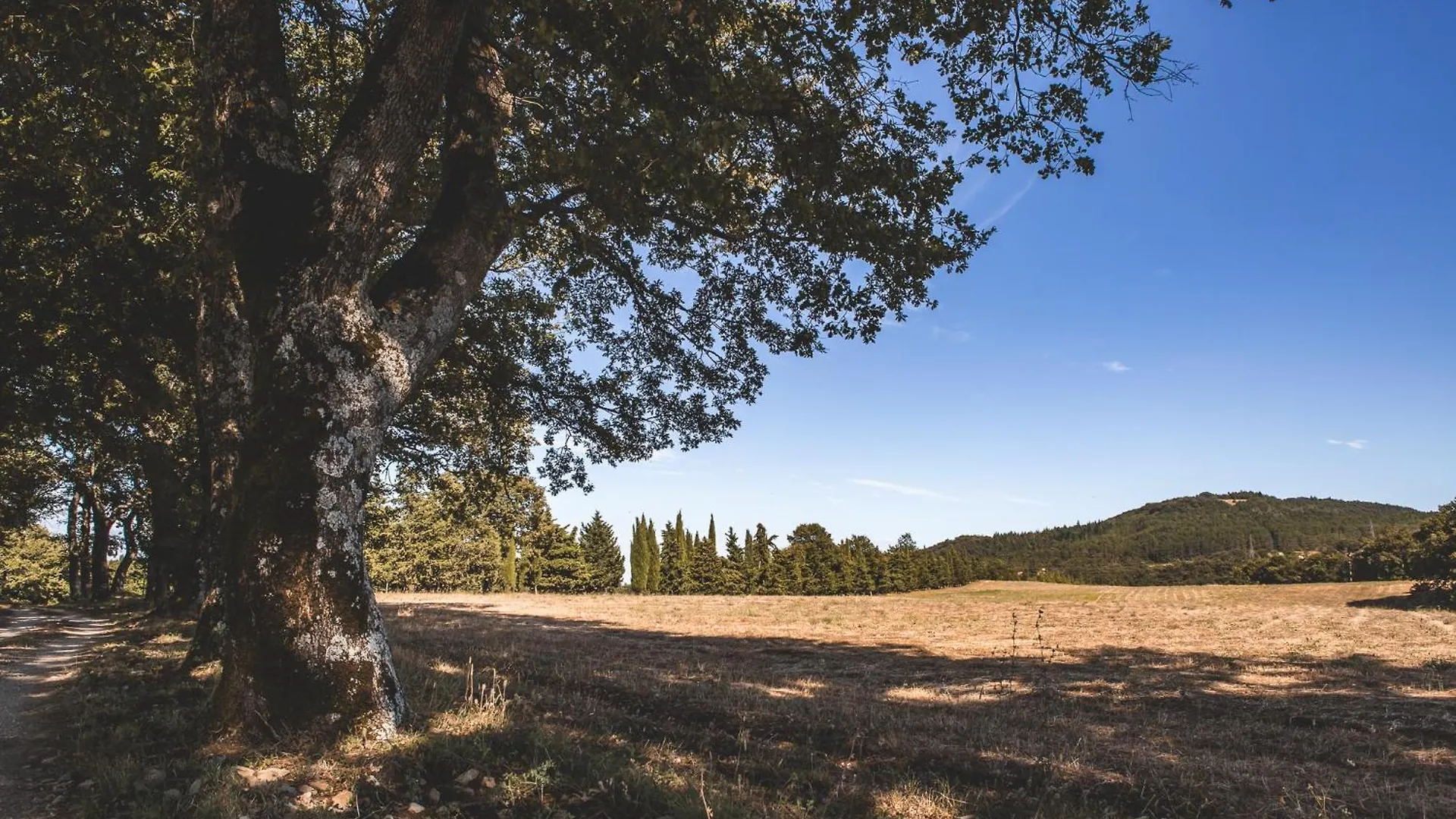 Masseria Del Bosco - Podere Palazzone Apartment Chianciano Terme Italy