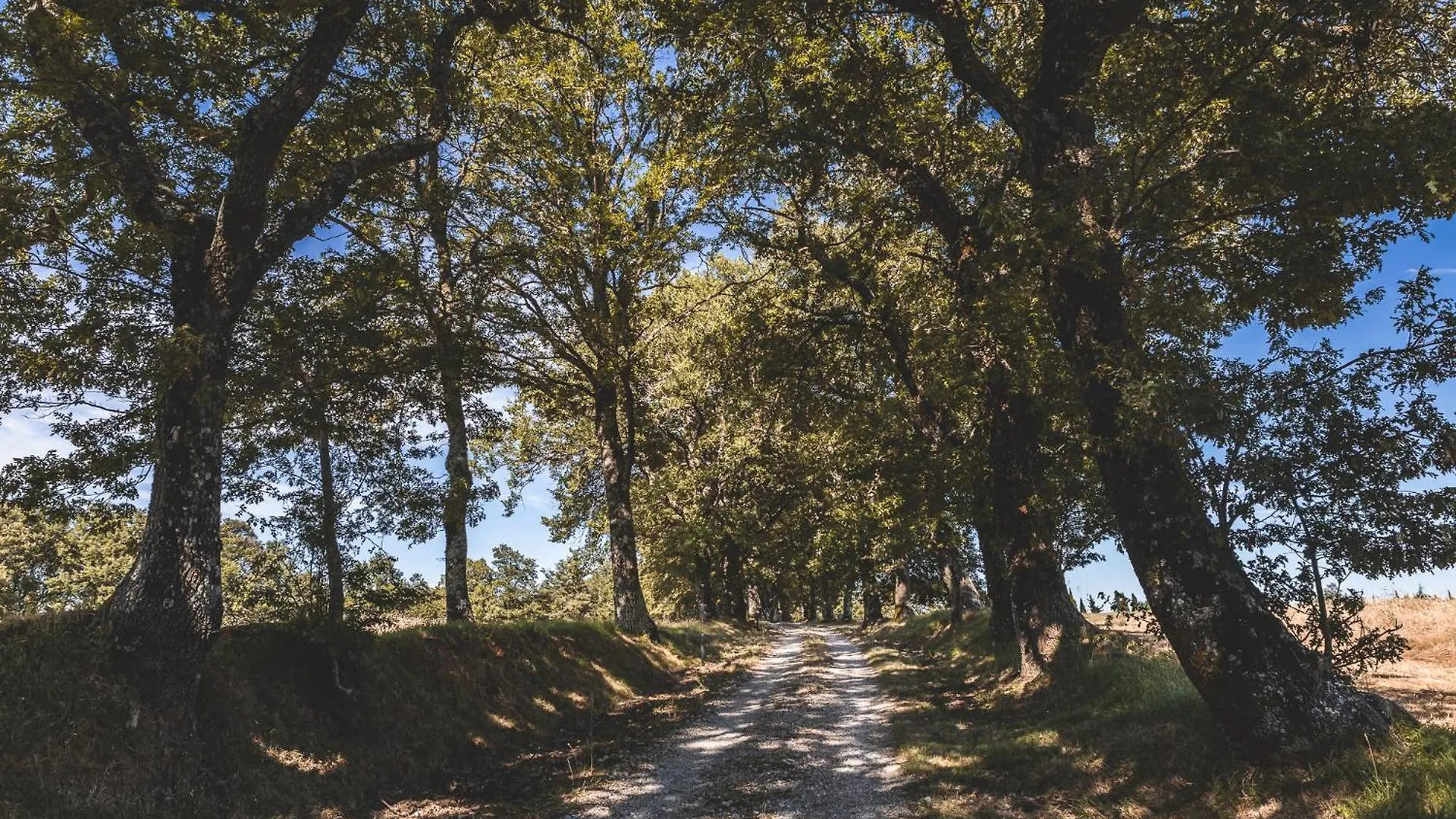 Appartamento Masseria Del Bosco - Podere Palazzone Chianciano Terme 0*,  Italia