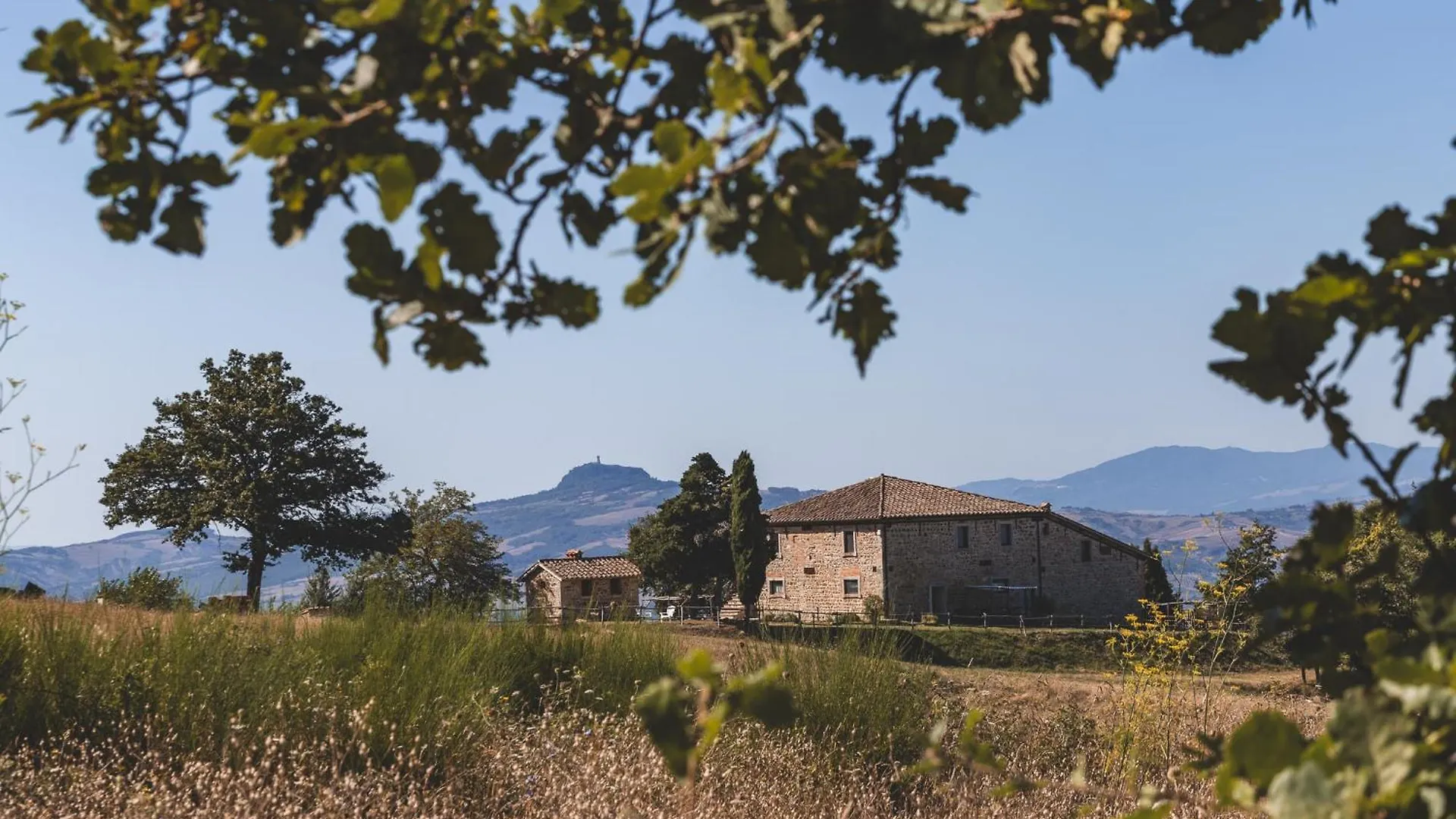Appartamento Masseria Del Bosco - Podere Palazzone Chianciano Terme Italia