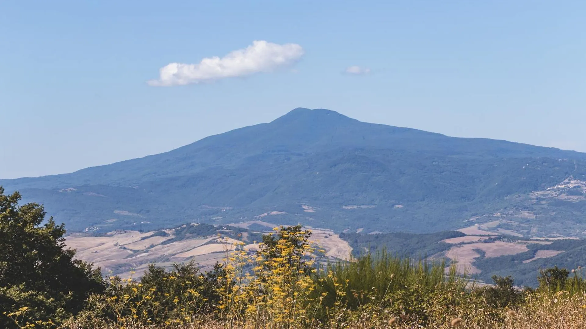 Appartamento Masseria Del Bosco - Podere Palazzone Chianciano Terme