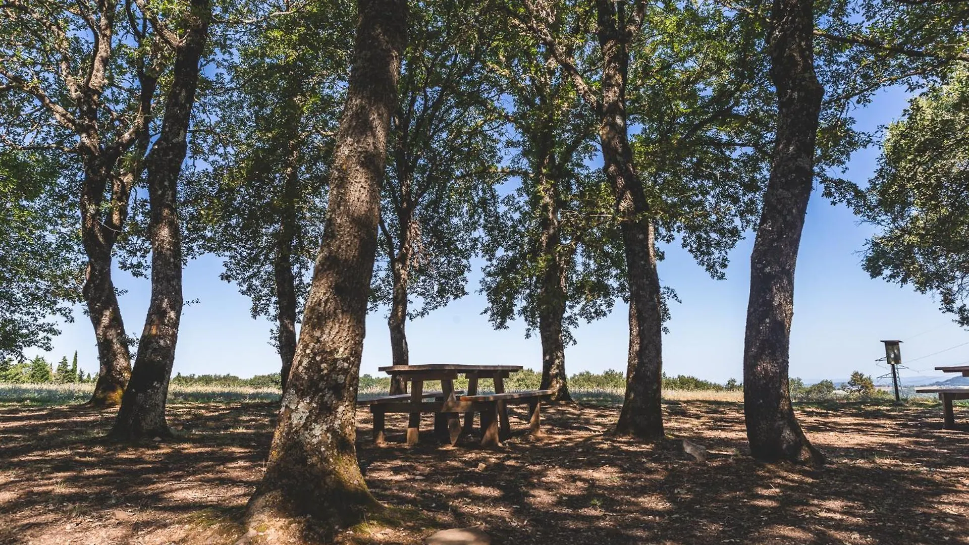 Appartamento Masseria Del Bosco - Podere Palazzone Chianciano Terme