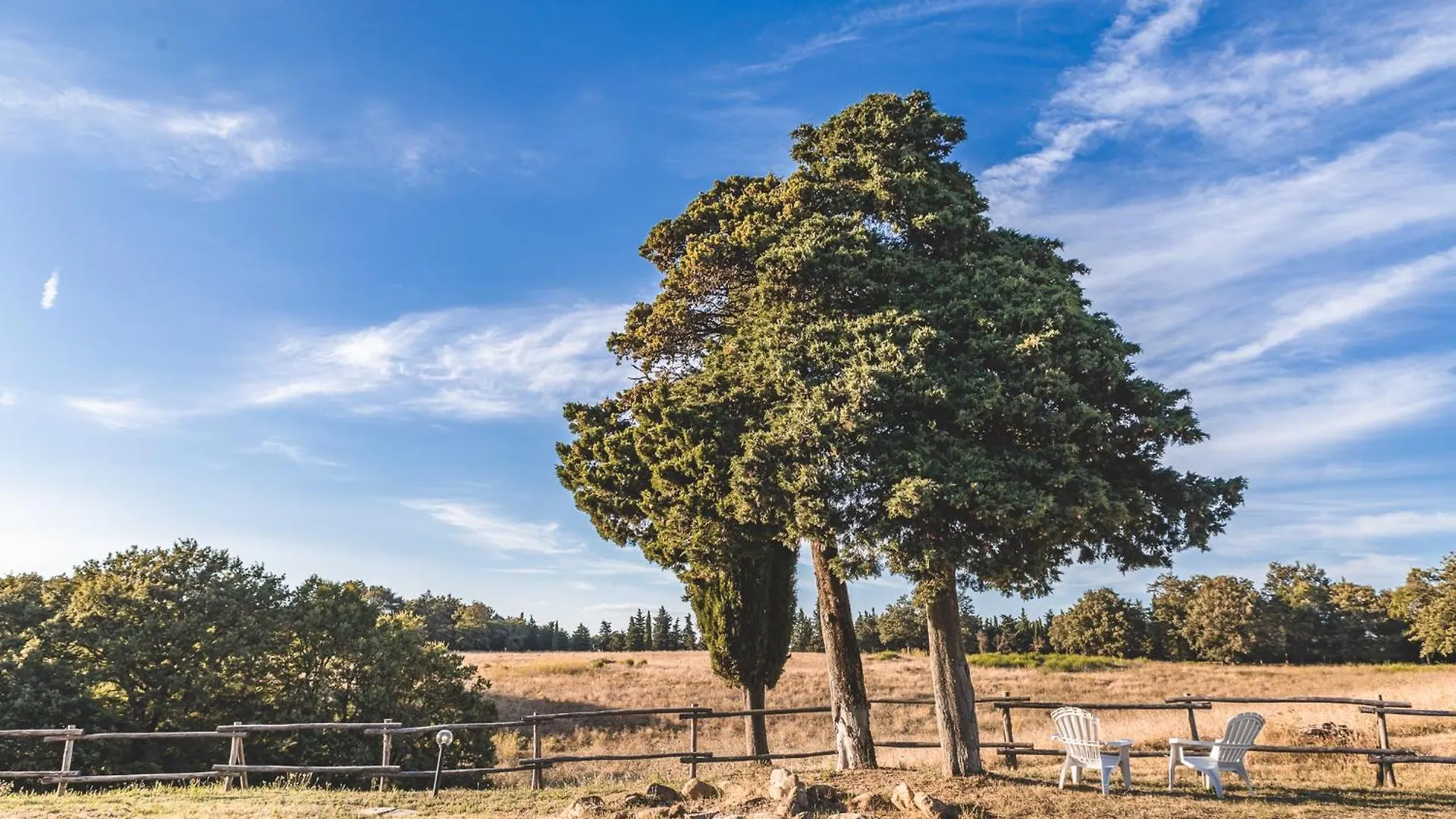 Appartamento Masseria Del Bosco - Podere Palazzone Chianciano Terme