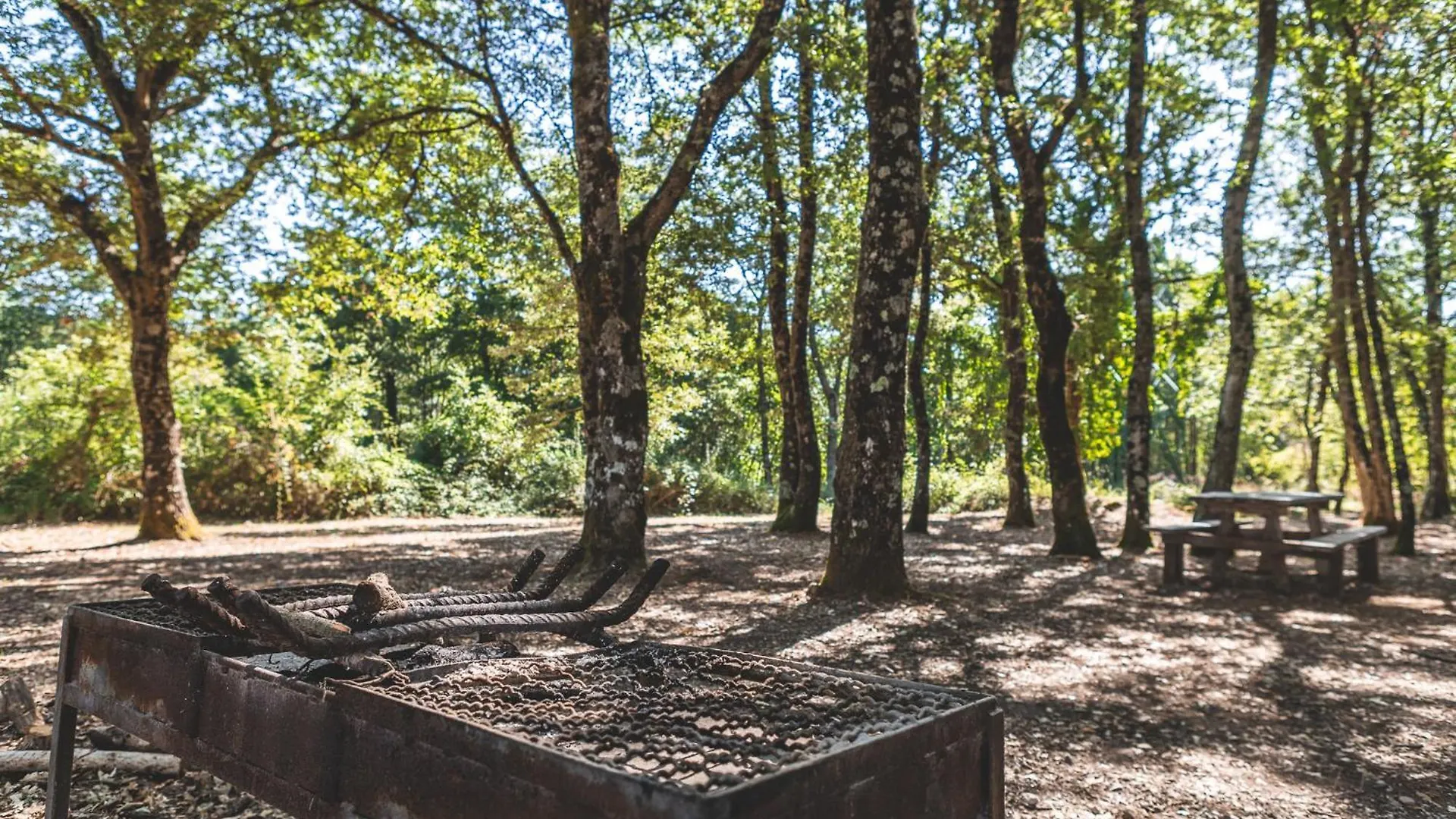 Appartamento Masseria Del Bosco - Podere Palazzone Chianciano Terme