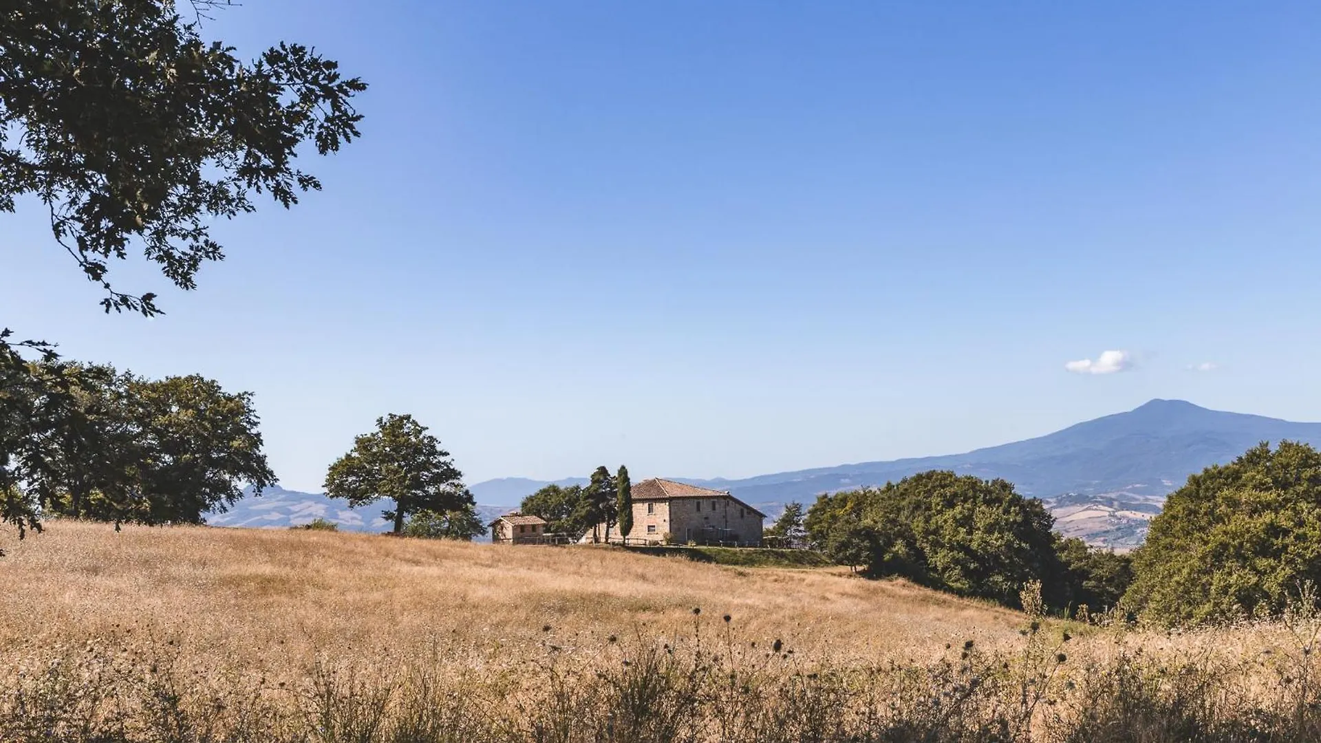 Appartamento Masseria Del Bosco - Podere Palazzone Chianciano Terme
