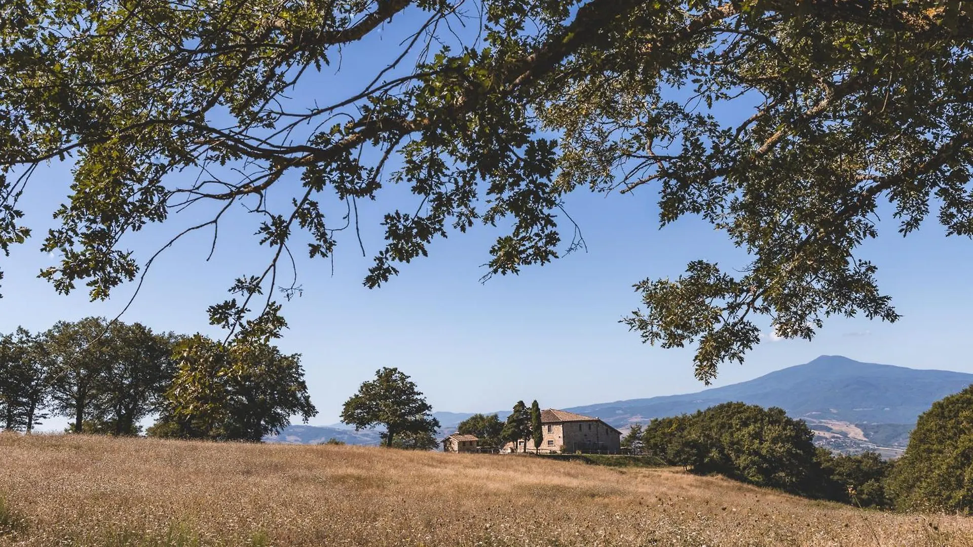 Appartamento Masseria Del Bosco - Podere Palazzone Chianciano Terme