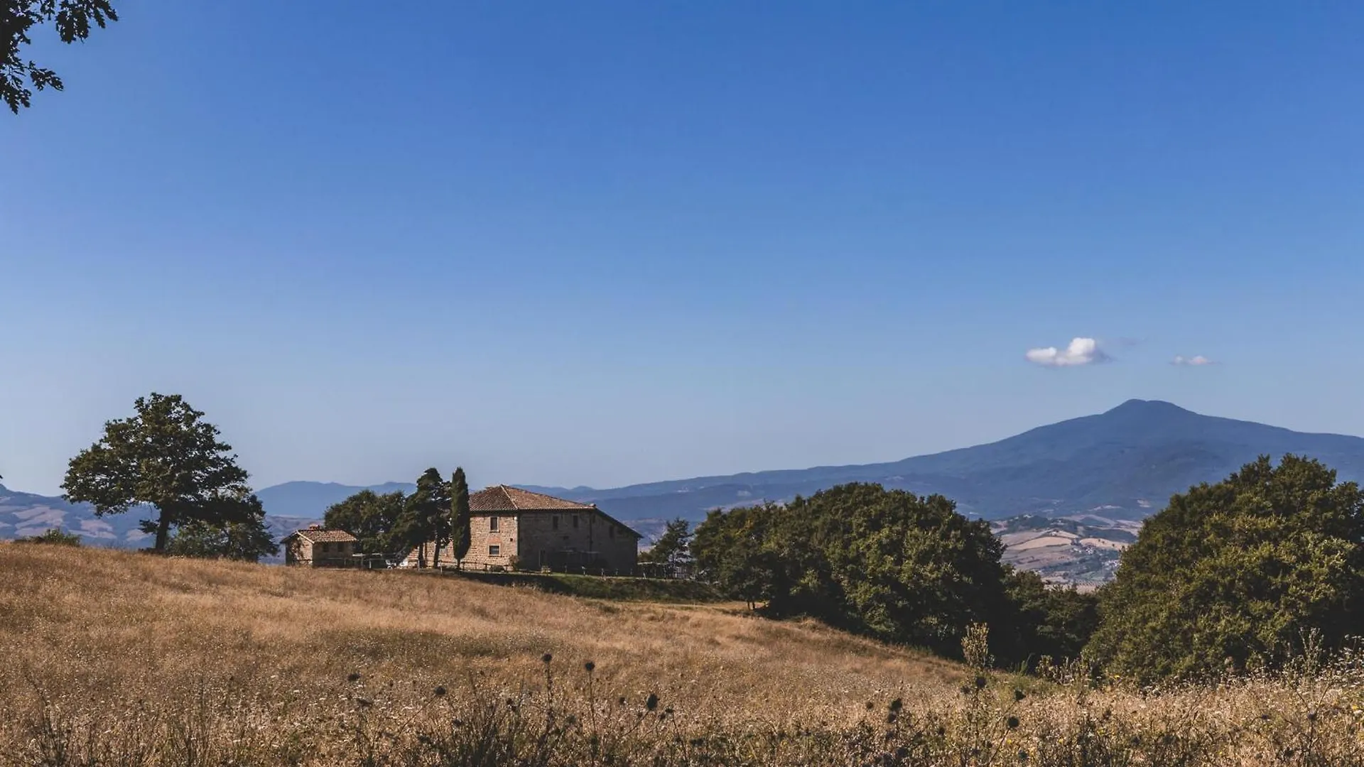 Appartamento Masseria Del Bosco - Podere Palazzone Chianciano Terme 0*,