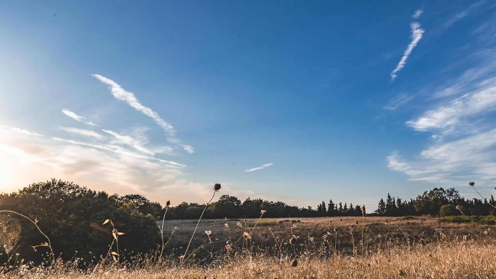 Appartamento Masseria Del Bosco - Podere Palazzone Chianciano Terme