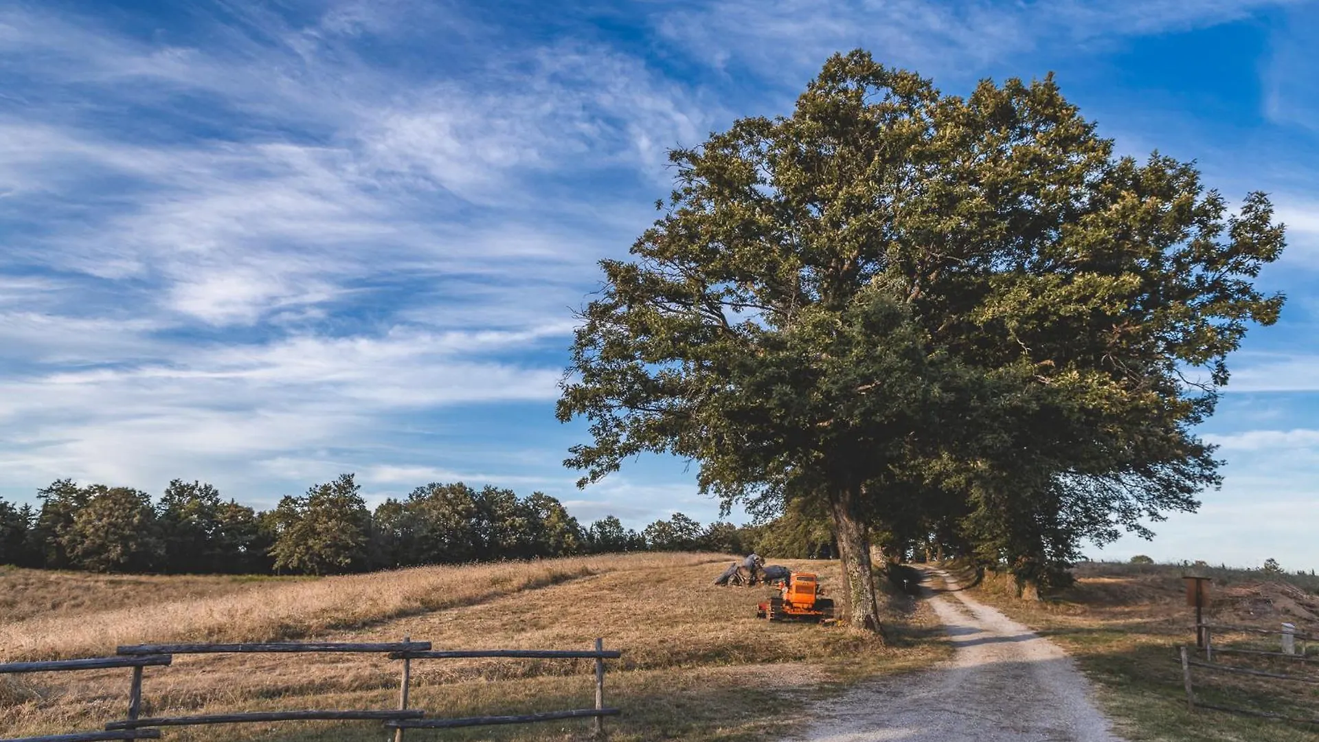 Appartamento Masseria Del Bosco - Podere Palazzone Chianciano Terme