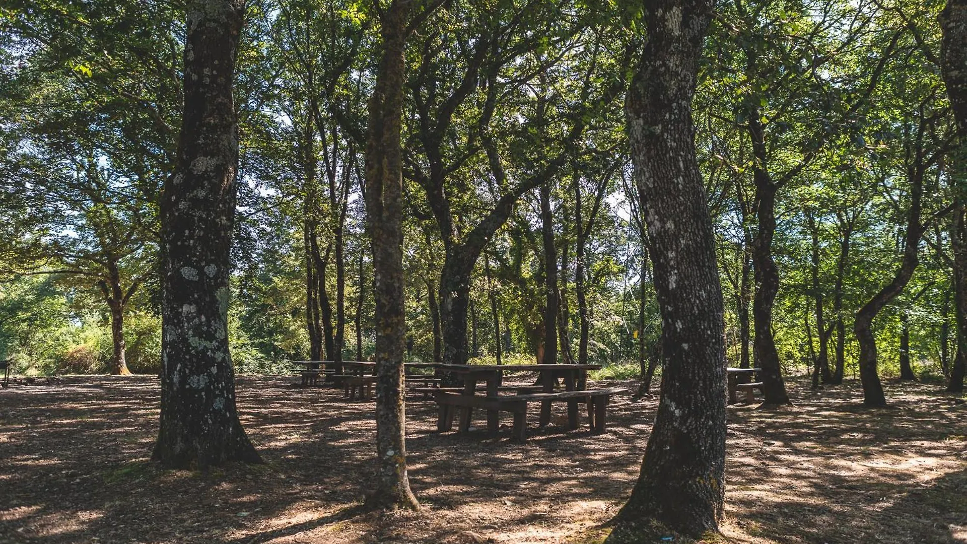 Appartamento Masseria Del Bosco - Podere Palazzone Chianciano Terme Italia